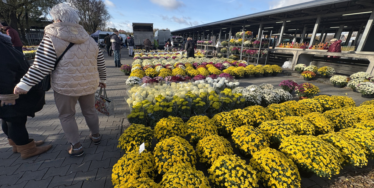 Handel kwiatami i stroikami