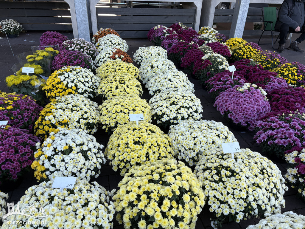 Handel kwiatami i stroikami