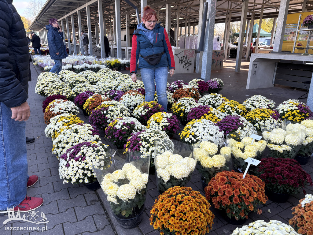 Handel kwiatami i stroikami