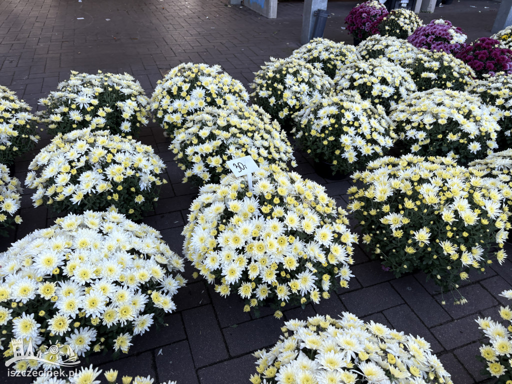 Handel kwiatami i stroikami