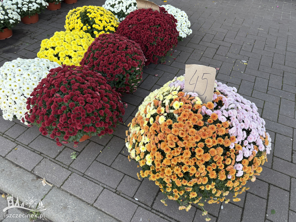 Handel kwiatami i stroikami