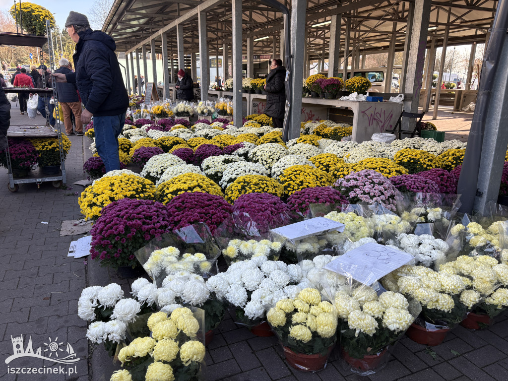 Handel kwiatami i stroikami