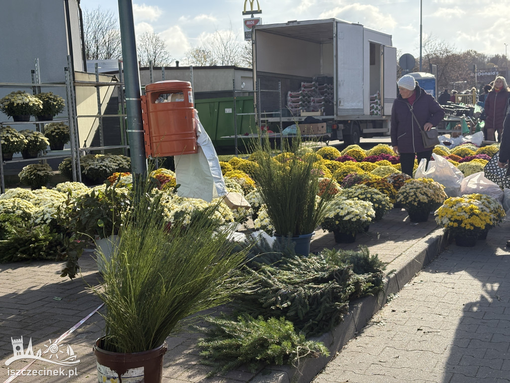 Handel kwiatami i stroikami