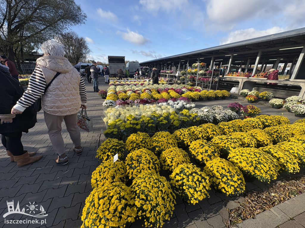 Handel kwiatami i stroikami