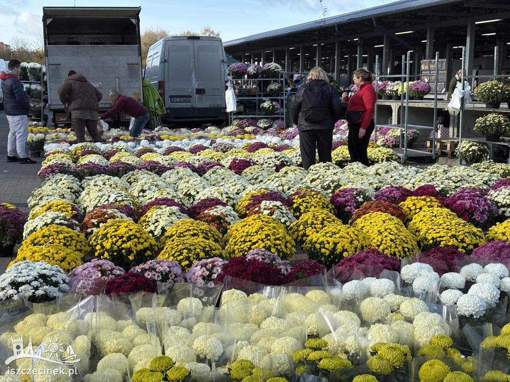 Handel kwiatami i stroikami