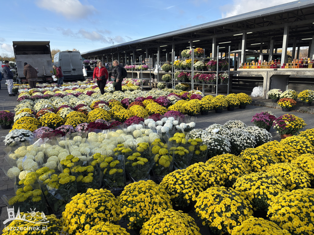 Handel kwiatami i stroikami