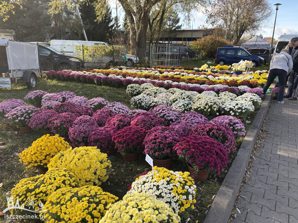 Handel kwiatami i stroikami