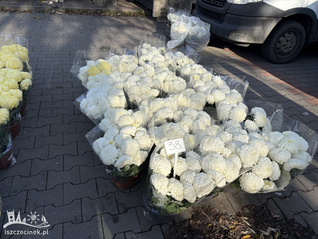 Handel kwiatami i stroikami