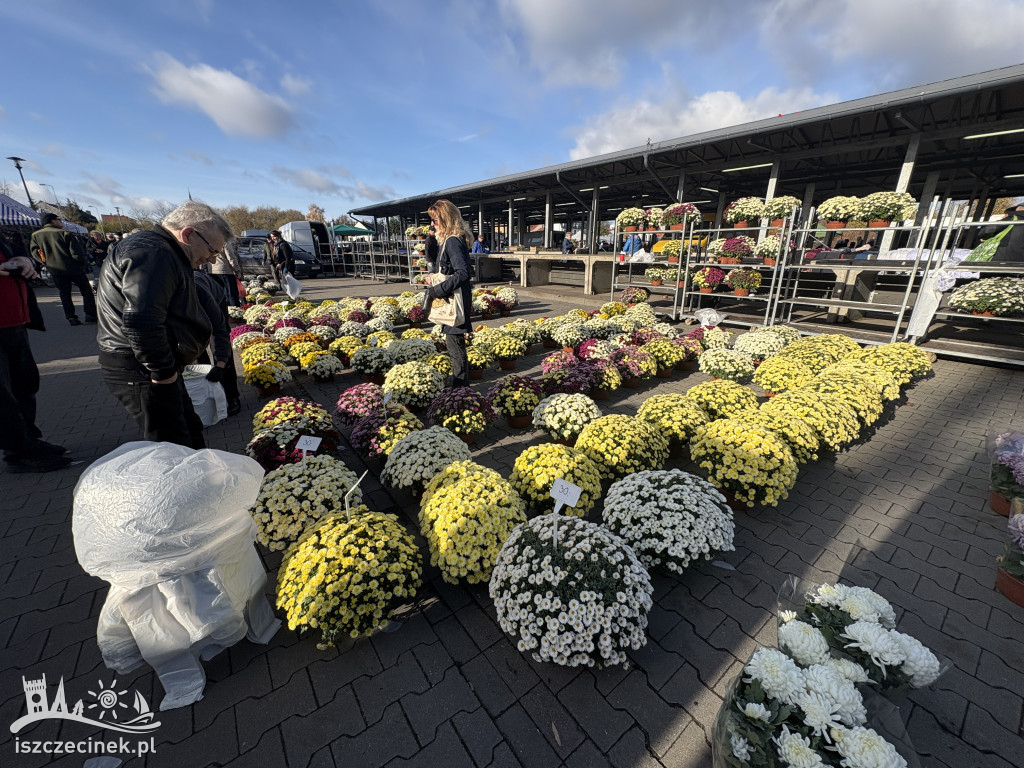 Handel kwiatami i stroikami
