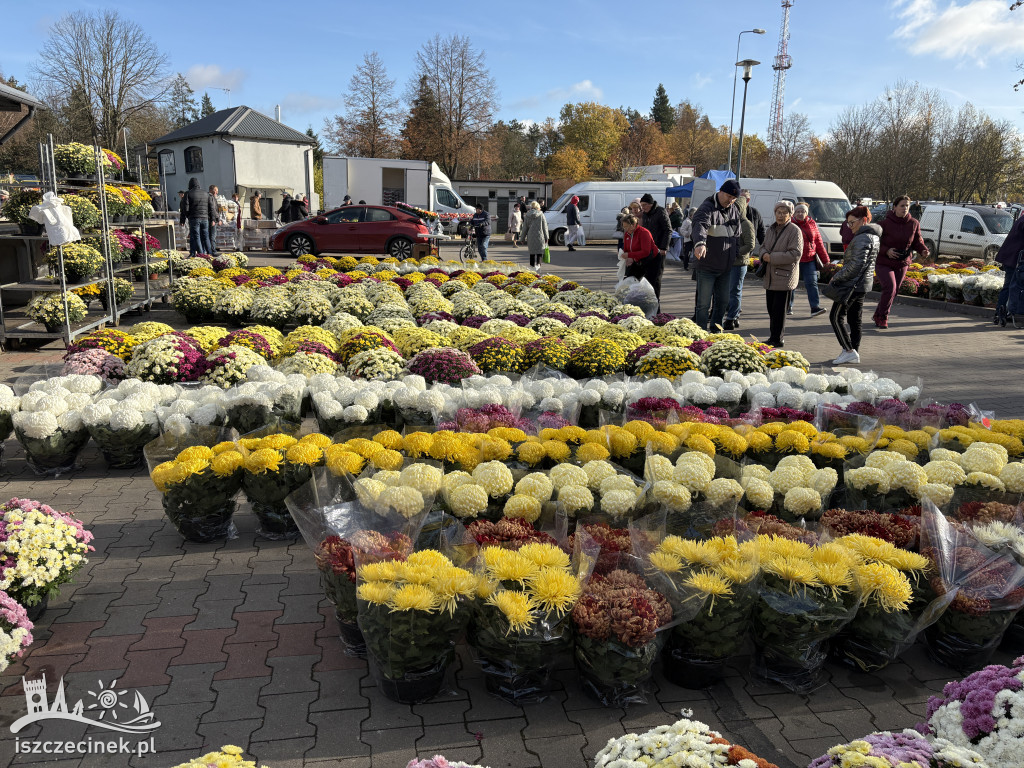 Handel kwiatami i stroikami