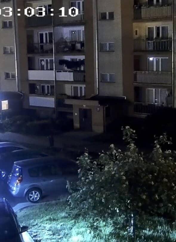 Zdjęcie