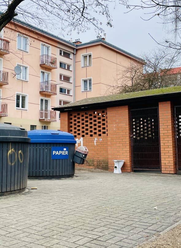 Zdjęcie