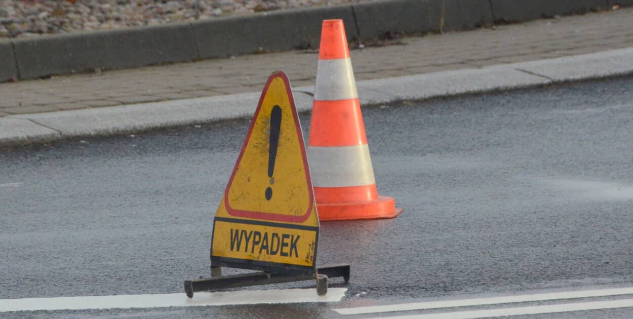 Zdjęcie