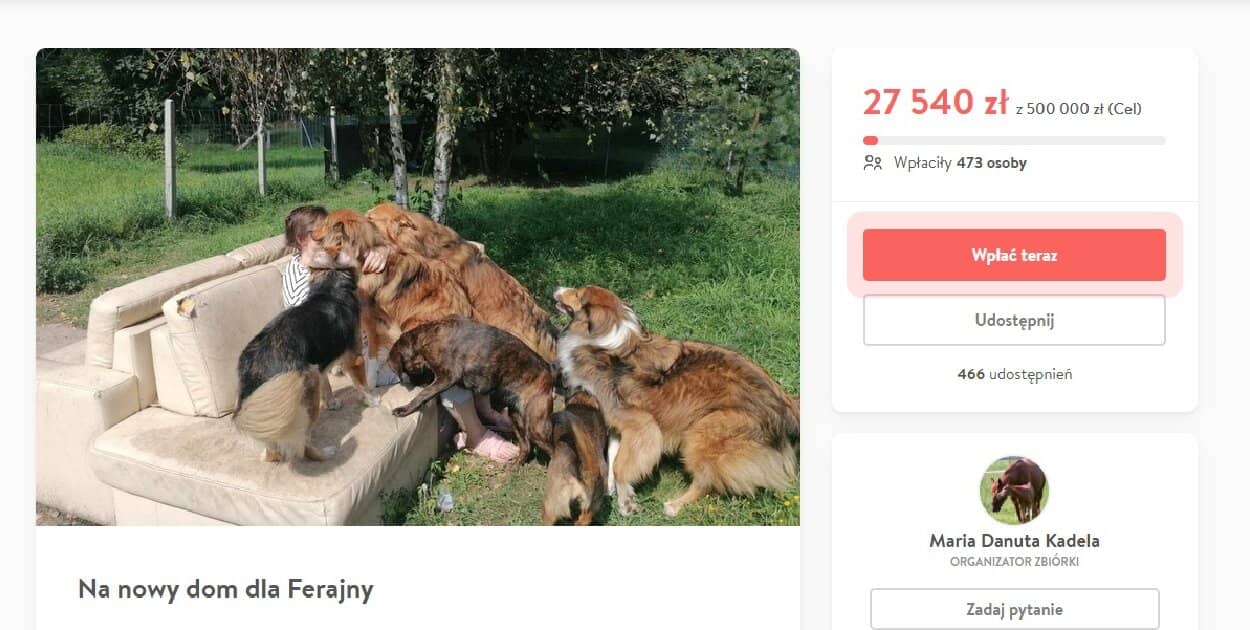 Zdjęcie