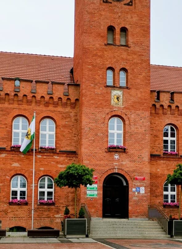 Zdjęcie