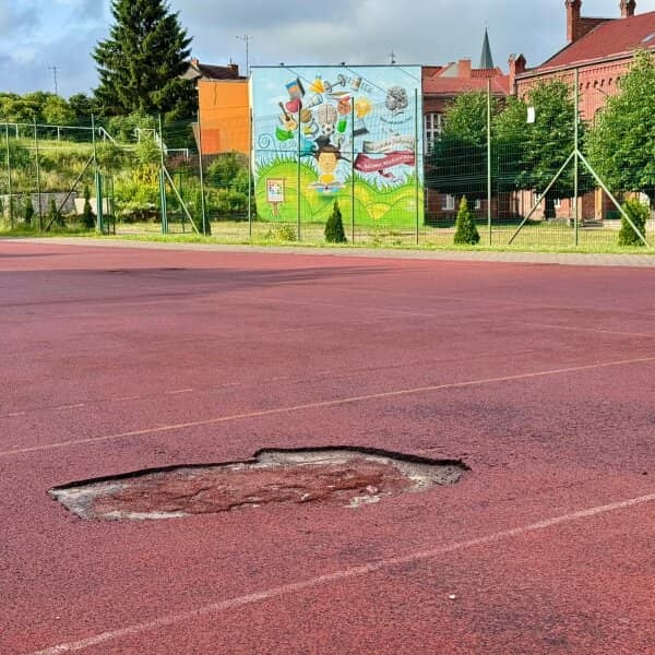 Zdjęcie