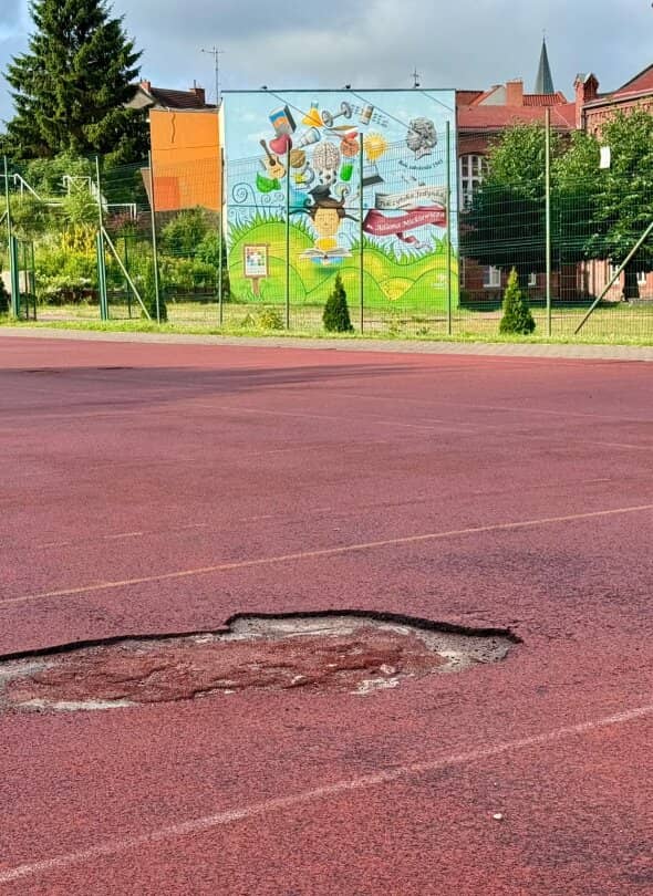 Zdjęcie
