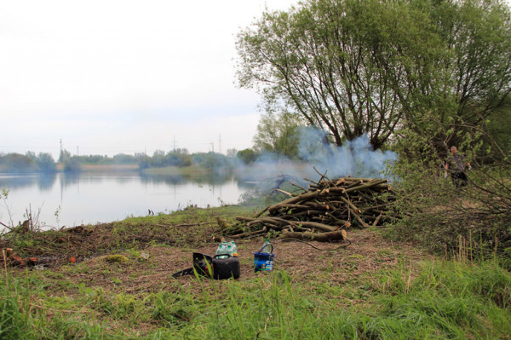 PZW Jesiotr czyści stawy