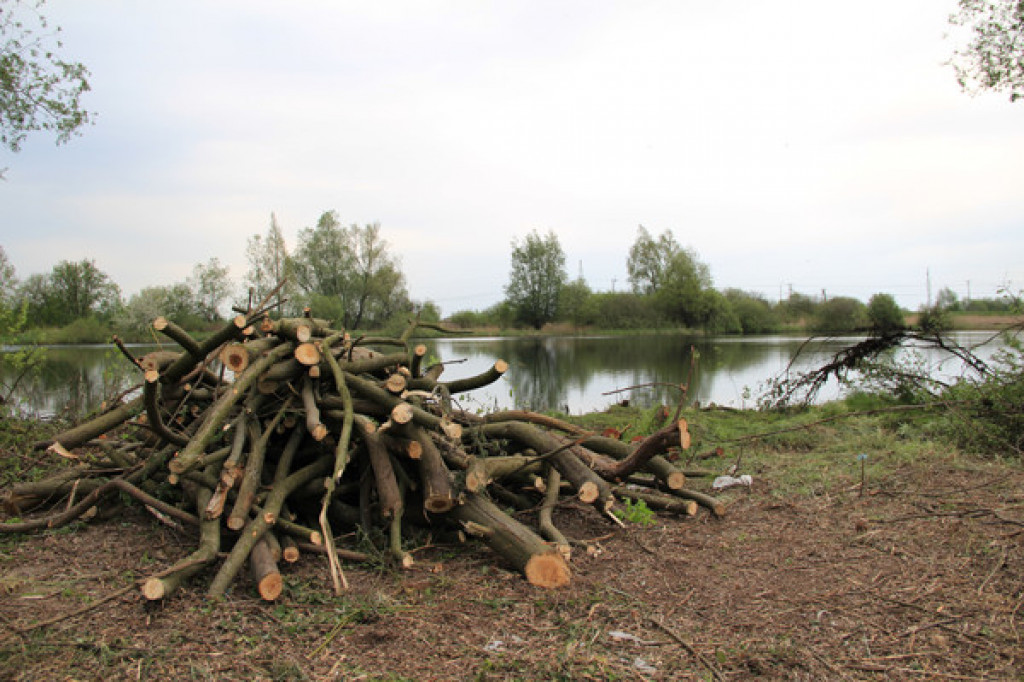 PZW Jesiotr czyści stawy