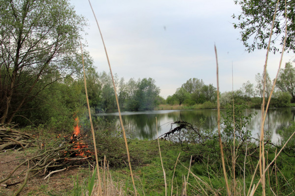 PZW Jesiotr czyści stawy
