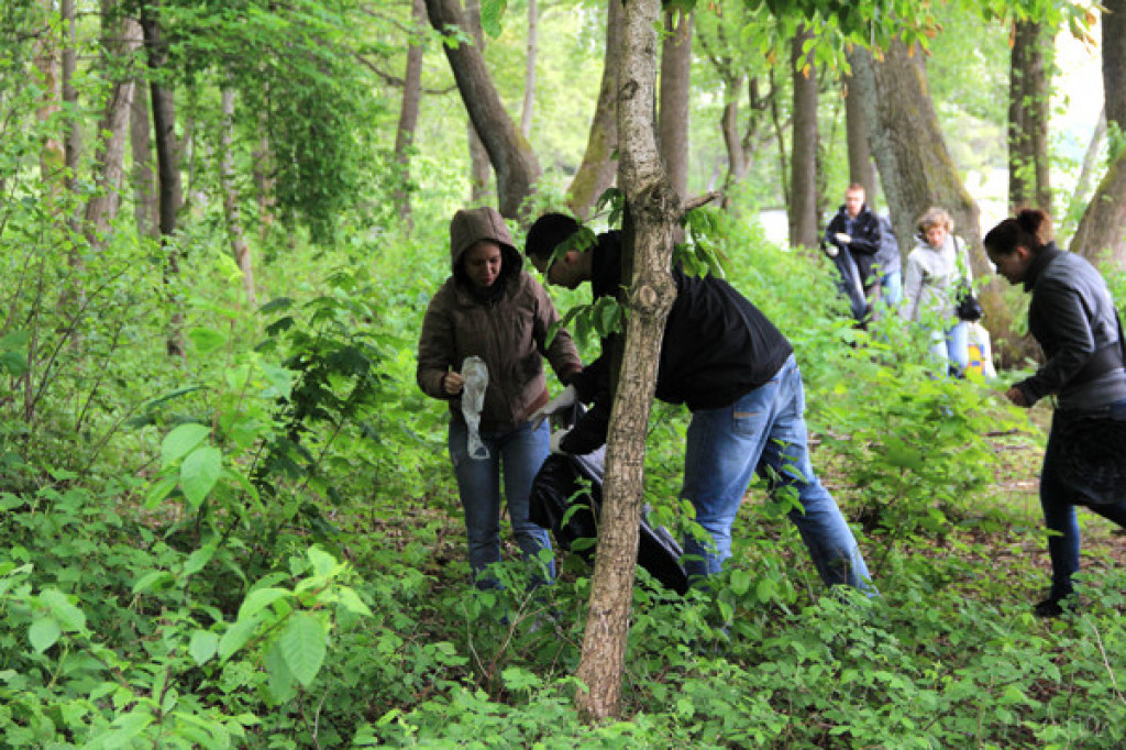 Sprzątanie brzegu jeziora