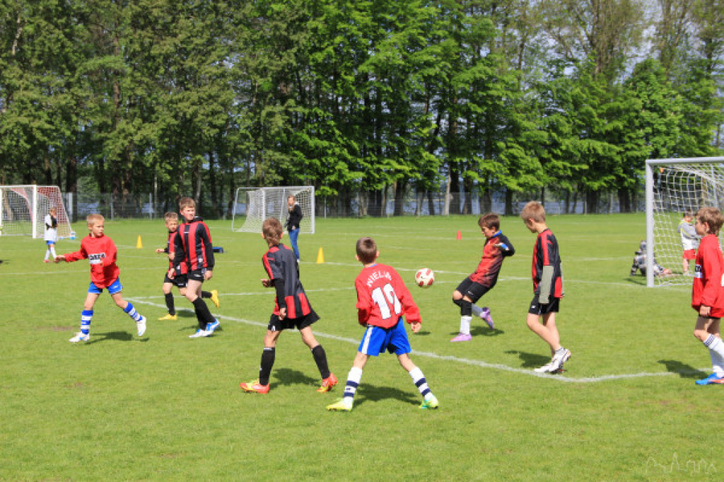 Mini Mistrzostwa Europy w piłce nożnej