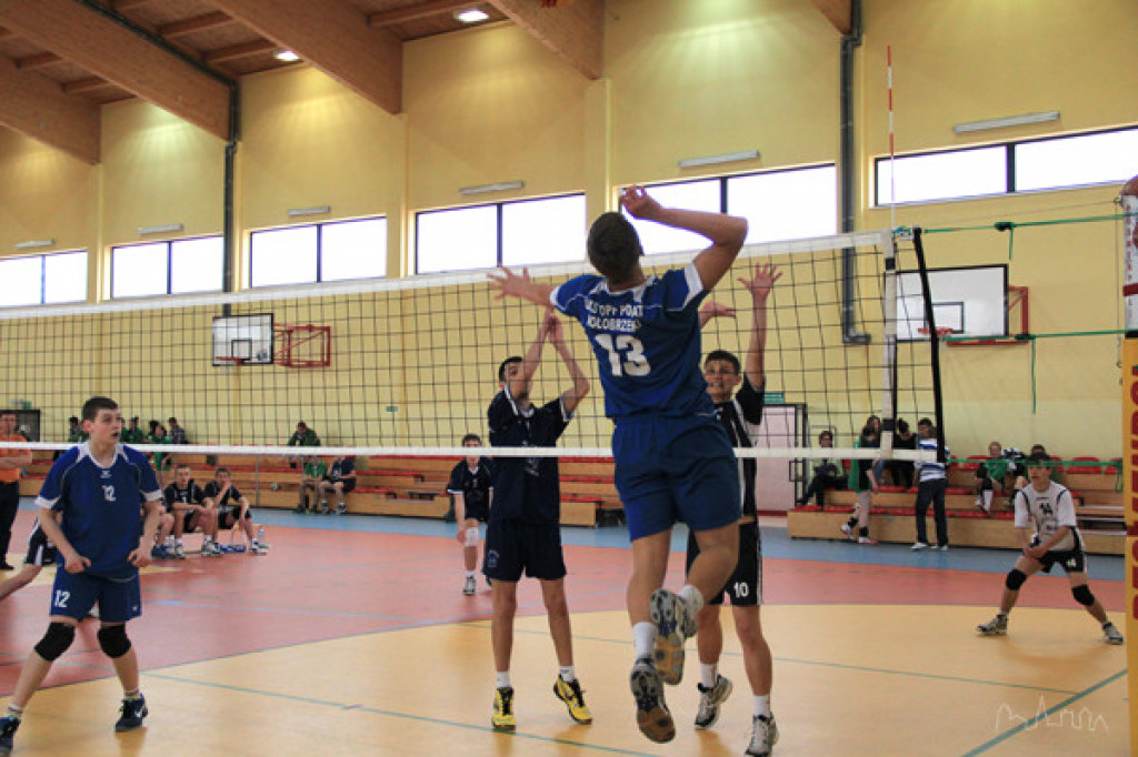 GRAND PRIX siatkarzy cz.II