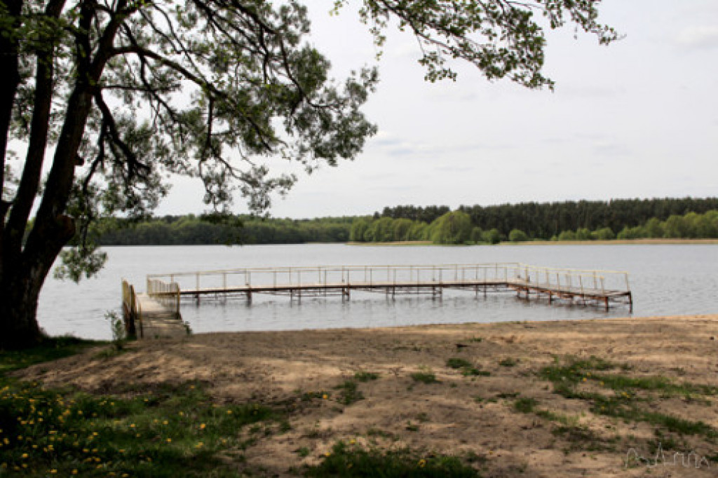 Stanica Harcerska w Drężnie
