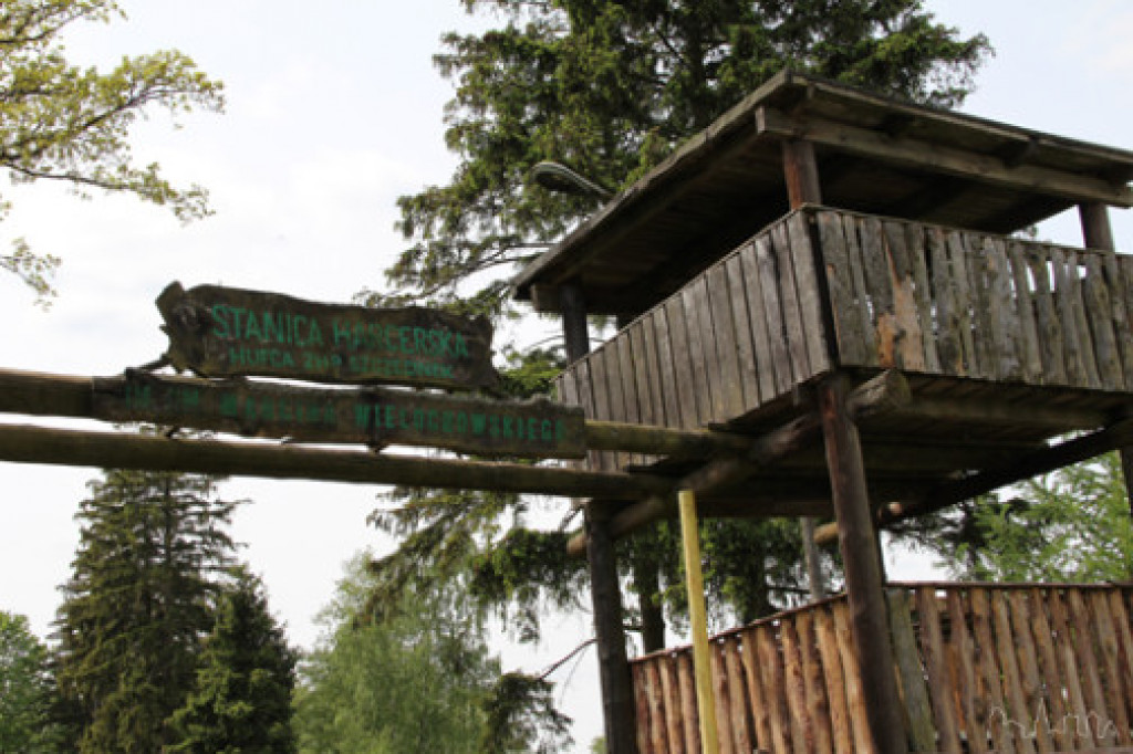 Stanica Harcerska w Drężnie