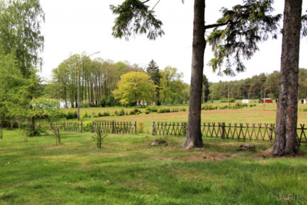 Stanica Harcerska w Drężnie