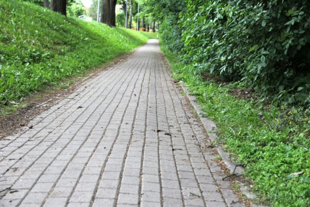 Ścieżka Szczecinek - Trzesieka 04.06.2012