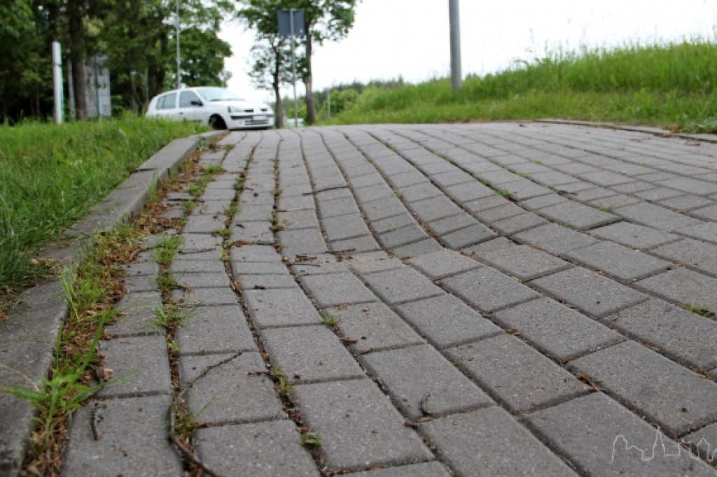 Ścieżka Szczecinek - Trzesieka 04.06.2012