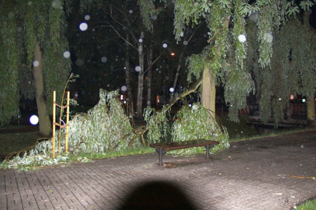 Krajobraz po burzy 18.06.2012