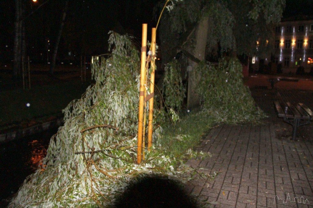 Krajobraz po burzy 18.06.2012