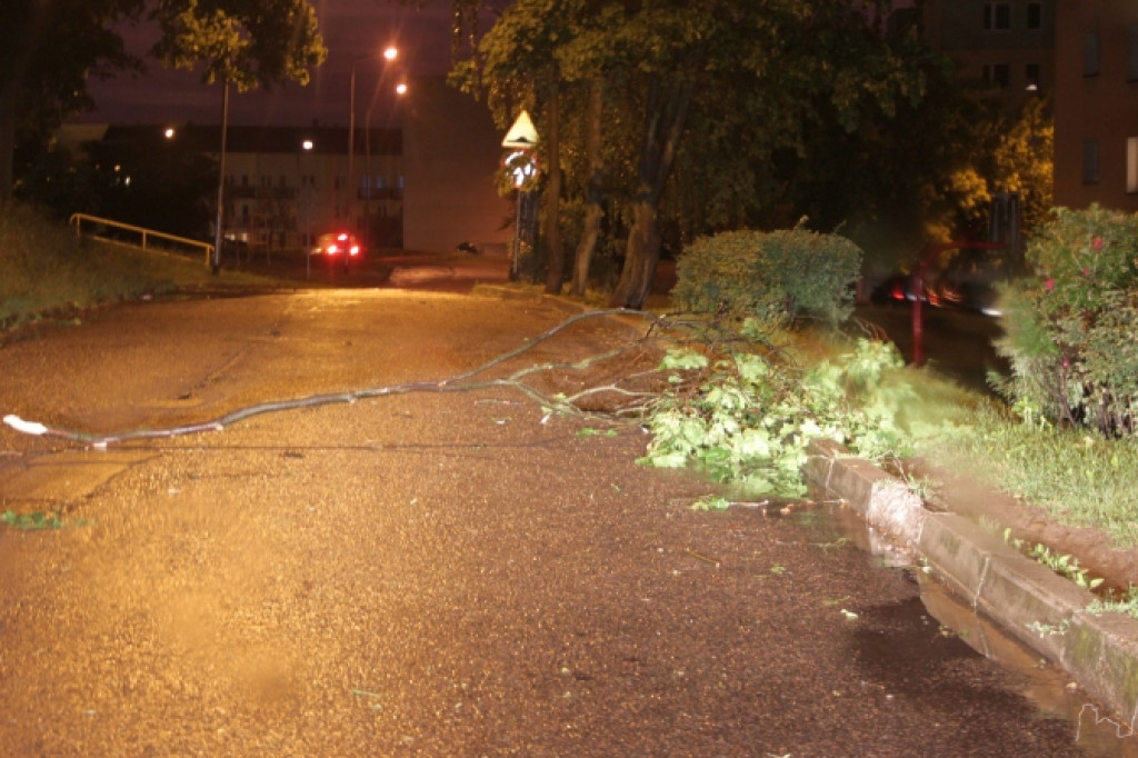 Krajobraz po burzy 18.06.2012