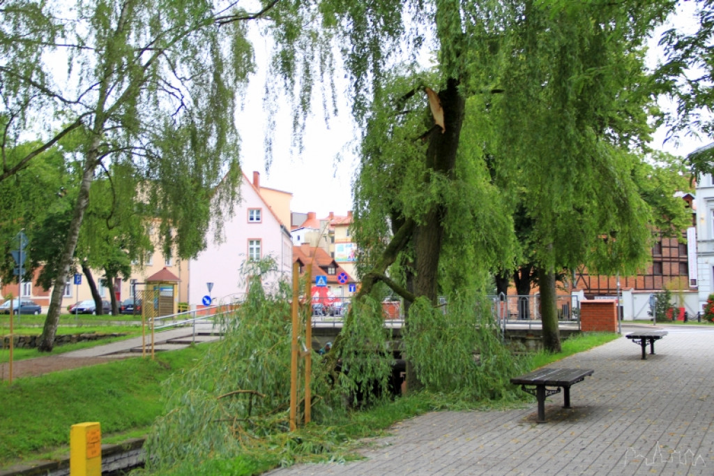 Krajobraz po burzy 18.06.2012