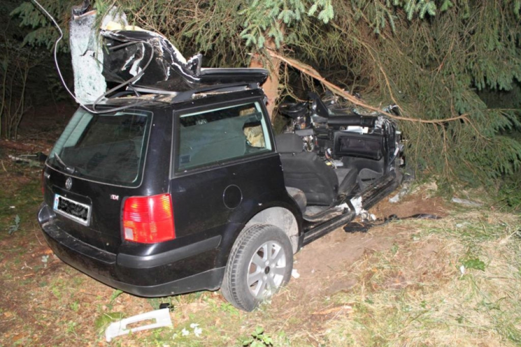 Uciekał przed policją, skończył na drzewie 19.06.2012