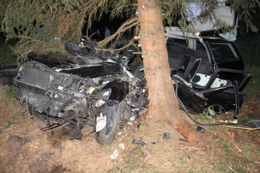 Uciekał przed policją, skończył na drzewie 19.06.2012