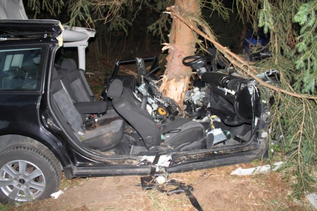 Uciekał przed policją, skończył na drzewie 19.06.2012