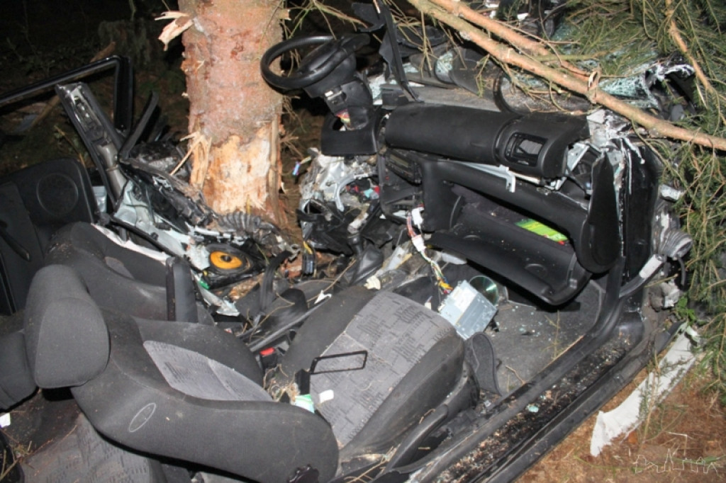 Uciekał przed policją, skończył na drzewie 19.06.2012