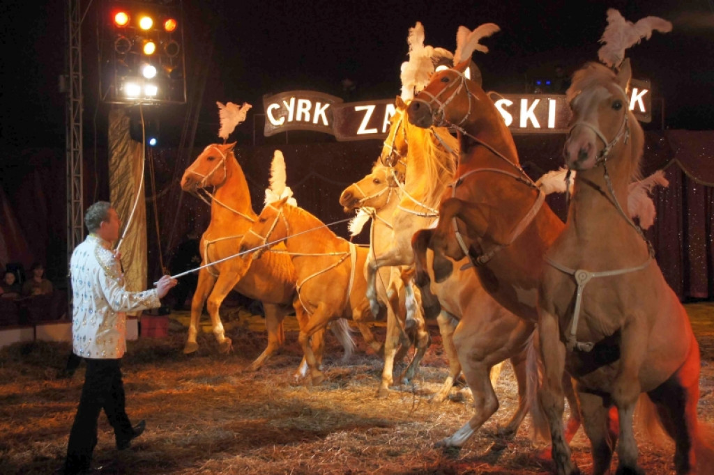Cyrk Zalewski