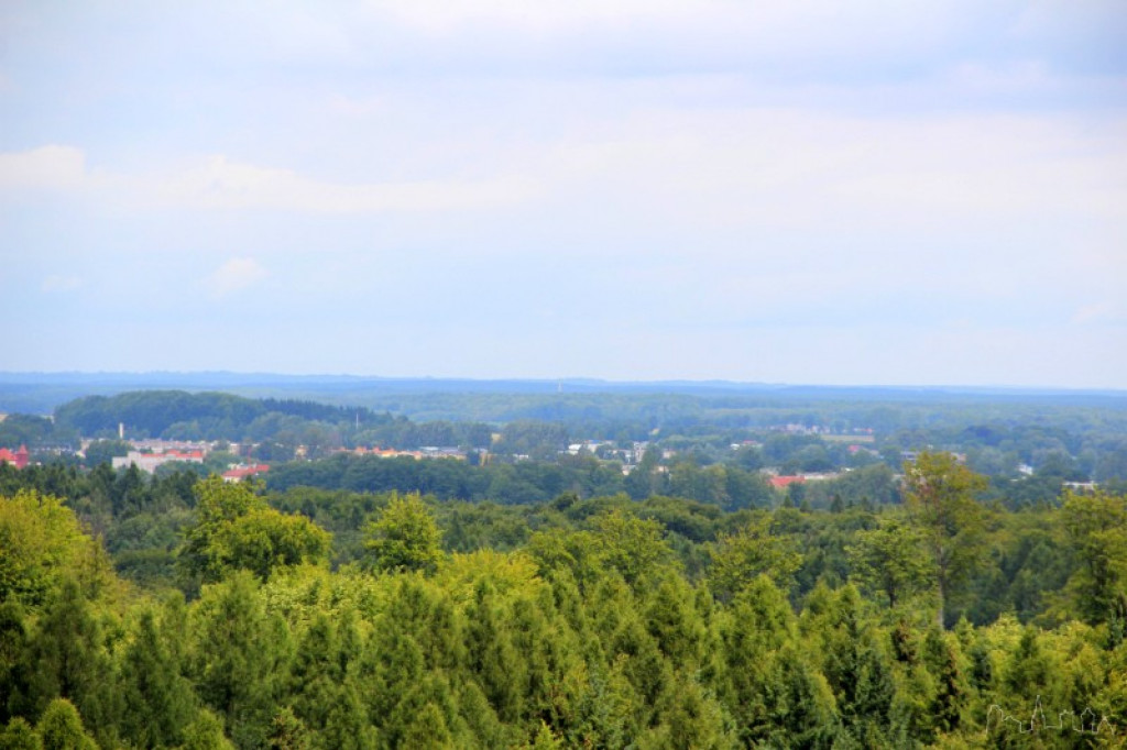 Wieża przeciwpożarowa w Światkach 18.07.2012