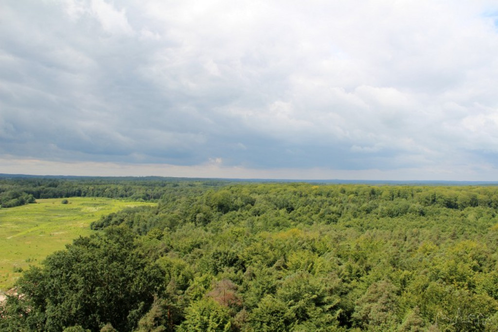Wieża przeciwpożarowa w Światkach 18.07.2012