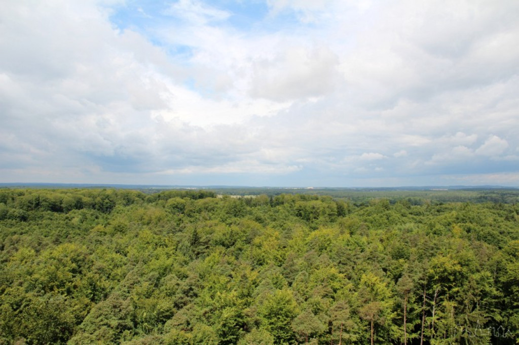 Wieża przeciwpożarowa w Światkach 18.07.2012