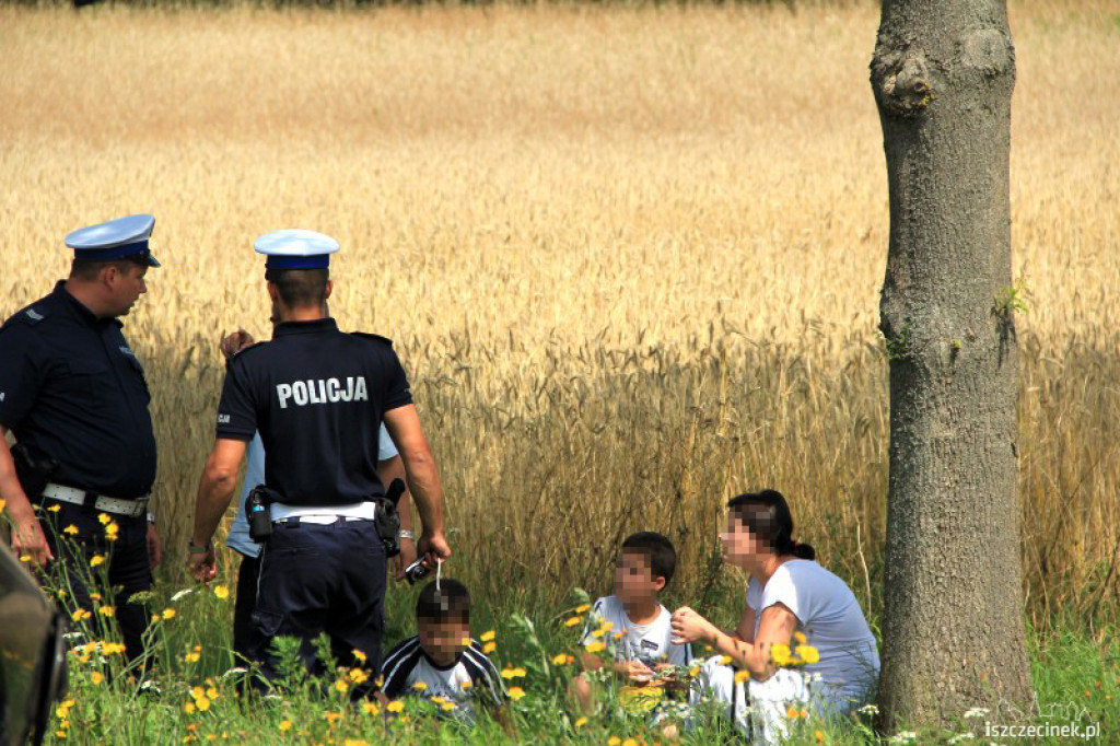 Groźny wypadek na DK 11 na wysokości Dalęcina 24.07.2012
