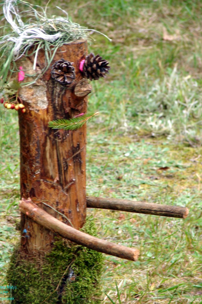 Las moim wakacyjnym przyjacielem - Drężno 27.07.2012