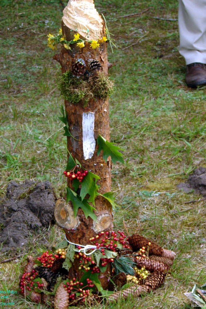 Las moim wakacyjnym przyjacielem - Drężno 27.07.2012