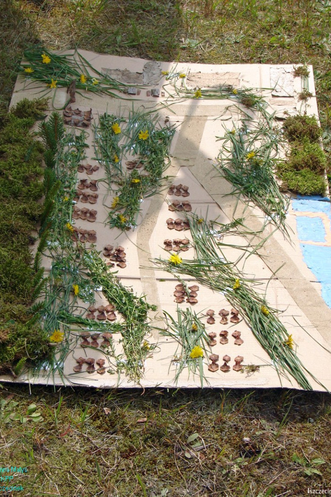 Las moim wakacyjnym przyjacielem - Drężno 27.07.2012