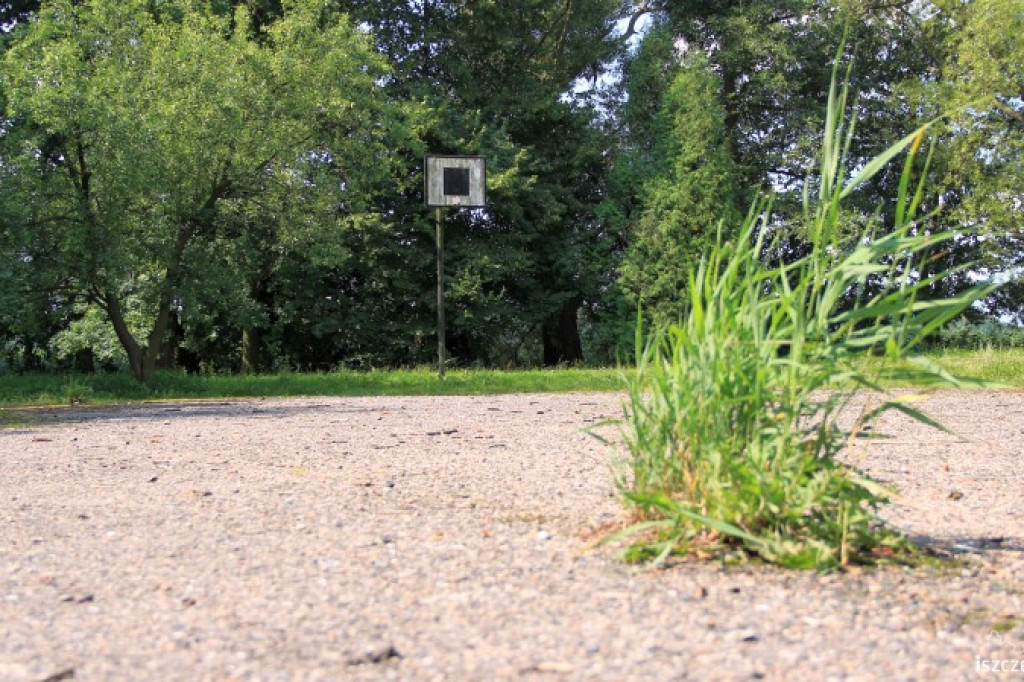 Boisko do kosza w parku 30.07.2012