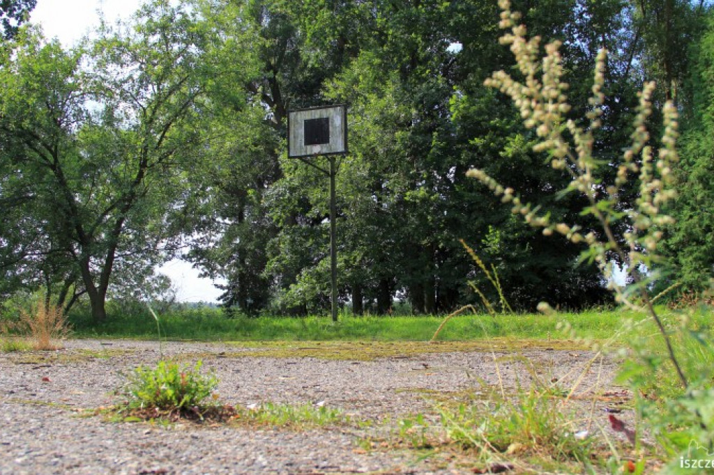 Boisko do kosza w parku 30.07.2012